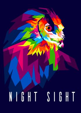 NIGHT SIGHT