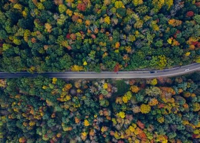 Catskill Mountains 