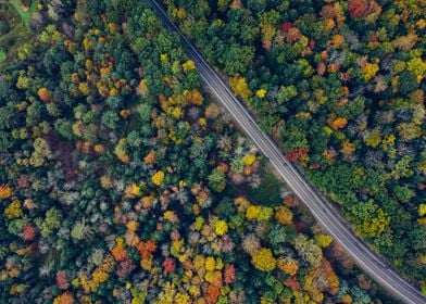 Catskill Mountains 