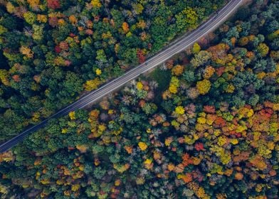 Catskill Mountains