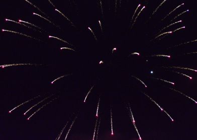 Pink Fireworks