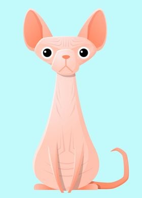 sphynx cat