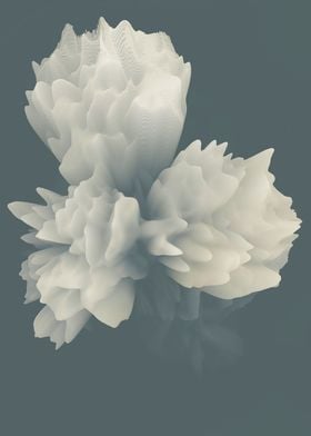 Abstract peonies