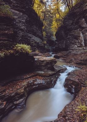 Watkins Glen State Park