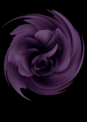 Purple rose 