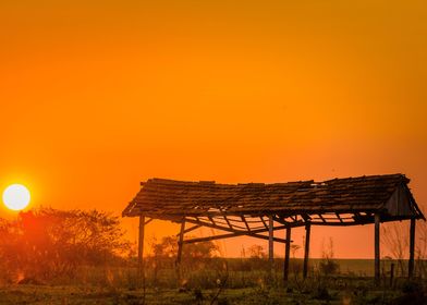 Sunset in the field