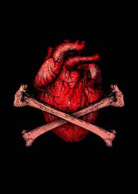 Heart and Bones