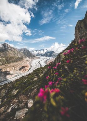 Aletsch Glacier