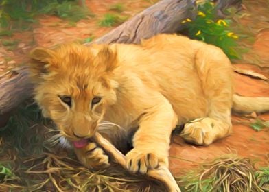 Lion Cub