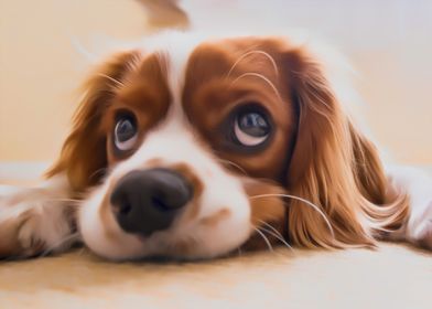 Cute Cocker Spaniel