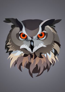 Owl Illustration