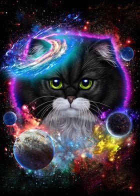 Cat in Galaxy Space Cosmos