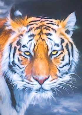 Tiger Glance