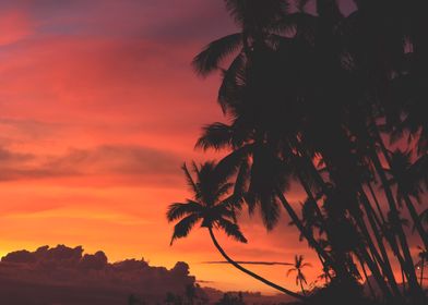 Caribbean Sunset