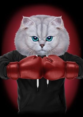 Boxer Cat Boxing Champion