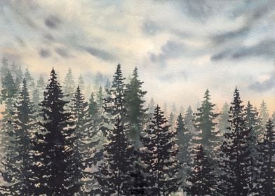 Pine trees sunset