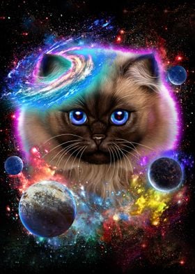 Cat in Galaxy Space Cosmos