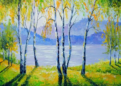 Birch trees by the river 