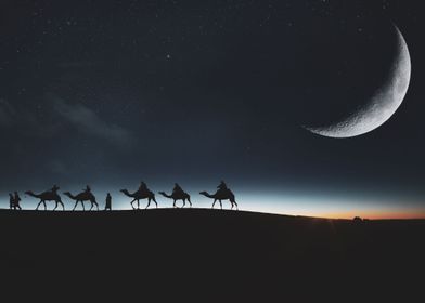 Egypt at night desert