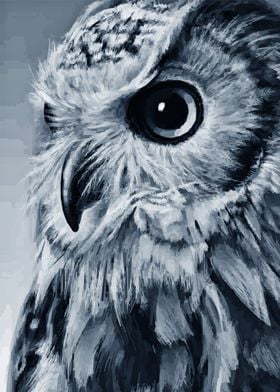 Owl Classic