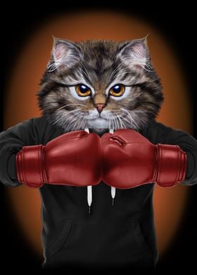 Boxer Cat Boxing Champion