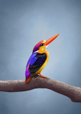 Colorful Bird