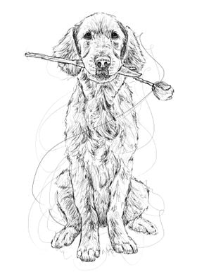 Dog in Scribble Art