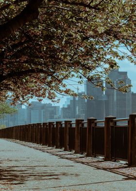 Roosevelt Island