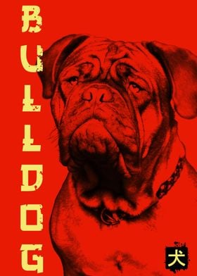 bulldog