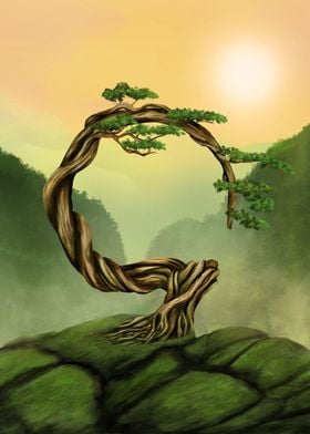 Enso Zen Circle Tree