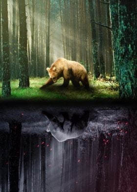 Bear In The Forest