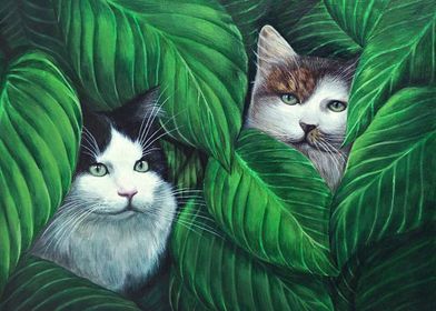 Cats hiding