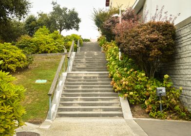 Staircase Forest Park