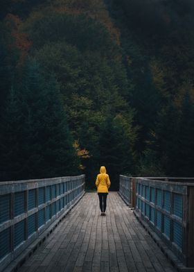 Lone walk into the forest