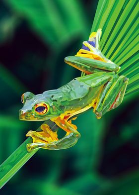 Frog on a tropical leaf
