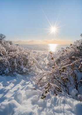 Winter sunset by the lake