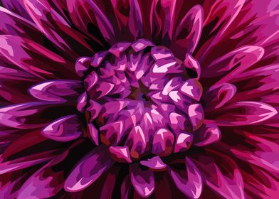 Purple Dahlia flower