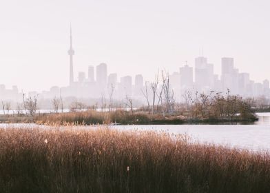 Toronto Downtown Cityscape