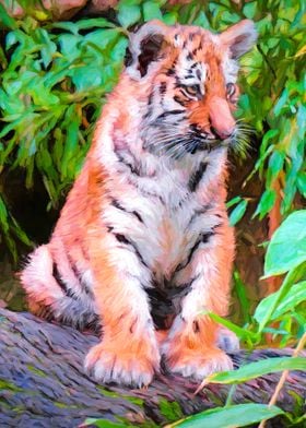 Tiger Cub Sit