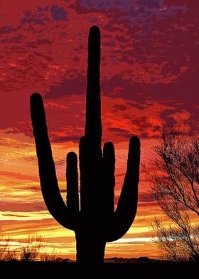 Arizona Cactus Sunset