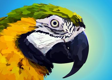 Yellow Green parrot 