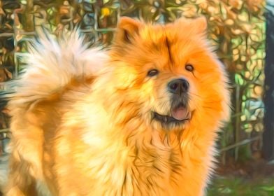 Chow Chow