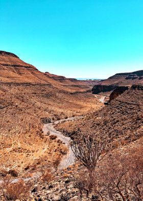 Landscape view