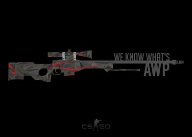 We Know Whats AWP