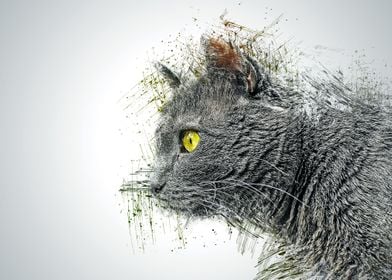 Cat Animal Illustration