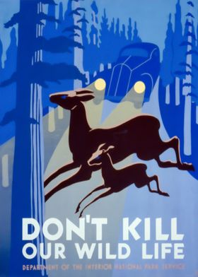 Poster in aid to animals