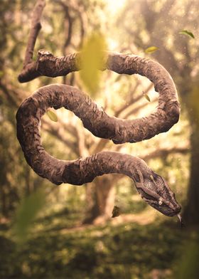Branch Snake