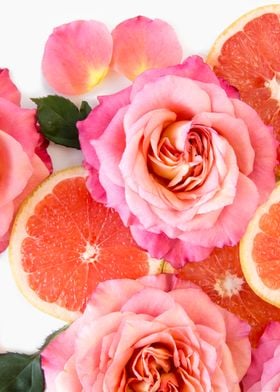 Grapefruit Roses 02