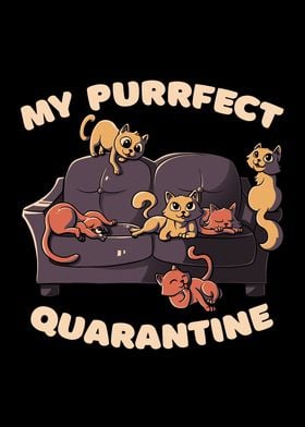 Purrfect Quarantine