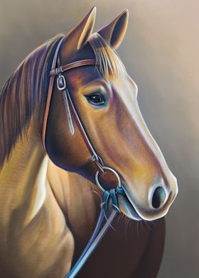 Portrait of the Horse
